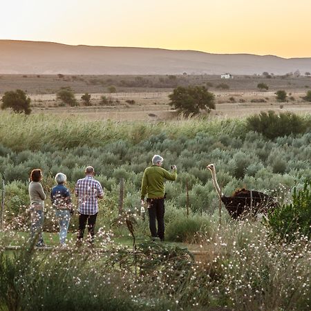 De Denne Country Guest House Oudtshoorn Ngoại thất bức ảnh