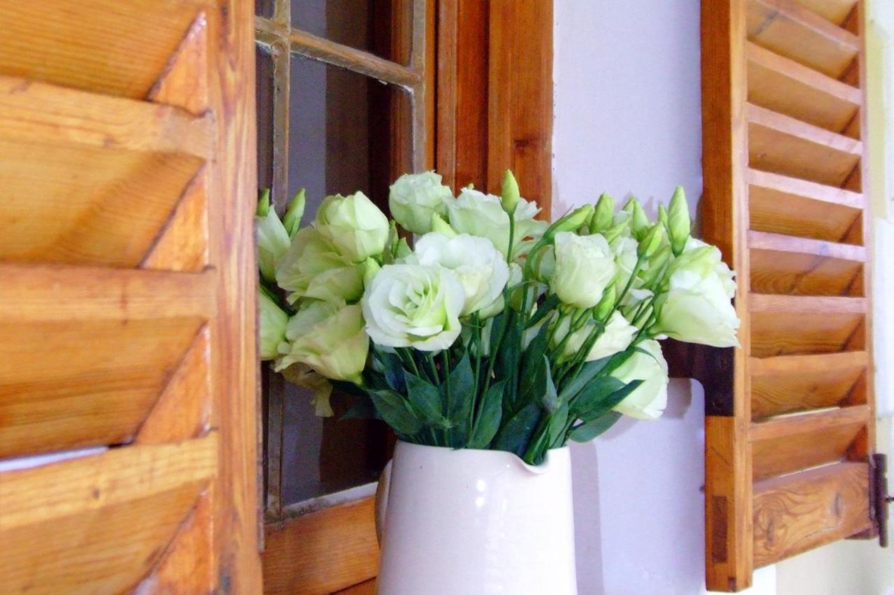 De Denne Country Guest House Oudtshoorn Ngoại thất bức ảnh