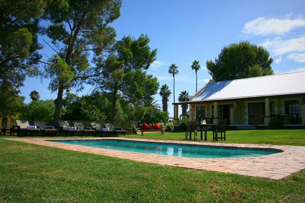 De Denne Country Guest House Oudtshoorn Ngoại thất bức ảnh